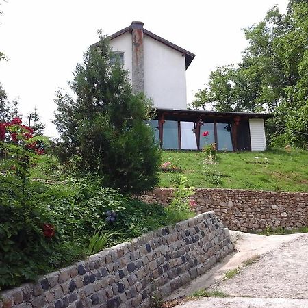 Casa Piscul Lupului Villa Pucioasa ภายนอก รูปภาพ