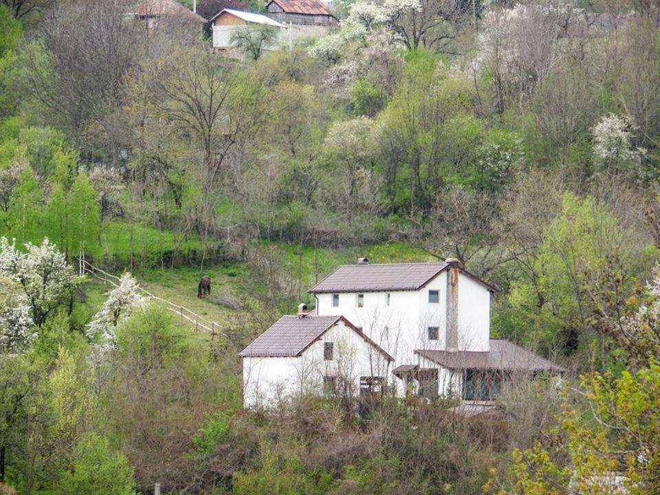 Casa Piscul Lupului Villa Pucioasa ภายนอก รูปภาพ